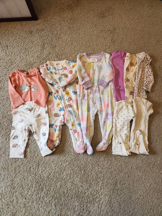 Carter's Other - Large Mixed Lot of 6-9M Baby Girl Clothes Bodysuits Footies